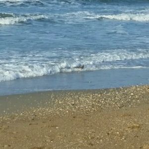 Meet your Posher, Tonya